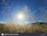 Lake Baikal High Resolution Stock Photography and Images - Alamy