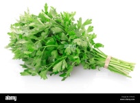 Parsley Isolated High Resolution Stock Photography and Images - Alamy