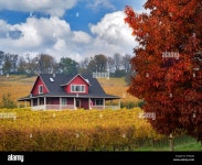 Sokol Blosser High Resolution Stock Photography and Images - Alamy