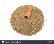 Page 19 - Secale High Resolution Stock Photography and Images - Alamy