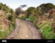 Page 33 - Tin High Resolution Stock Photography and Images - Alamy