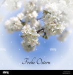 Page 27 - Duft High Resolution Stock Photography and Images - Alamy