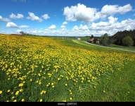 U filter hi-res stock photography and images - Alamy