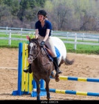 Gymkhana hi-res stock photography and images - Page 11 - Alamy