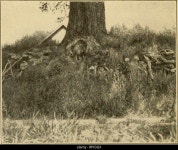 Uble hi-res stock photography and images - Page 4 - Alamy