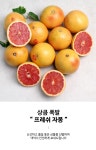 팸쿡 프리미엄 프레쉬 자몽 20과 (7.5kg내외)