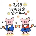 황금 돼지띠를 보내기 위한 계획 | 한인포스트