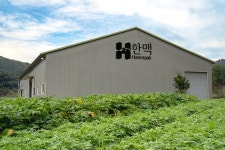 해피빈 11년의 진심이 담긴, 평창에서 온 당귀차