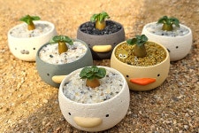 해피빈 일상을 구하는 귀여움! 반려식물과 친환경 화분