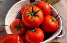 해피빈 장수 고원에서 자란 프리미엄 완숙 토마토