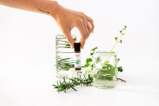 해피빈 공정무역 아로마오일로 여는 향기로운 홀리데이