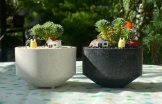 해피빈 일상 속 초록빛 힐링! 귀여운 반려식물 키트