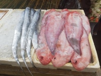 남매수산 - 목포BIZ 남매수산