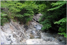 상운산 학심이골(2) > 지역명산