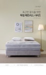 HZY4211 볼라텍스 독립 매트리스 SS 1100x260 | 돈버는 쇼핑 도매꾹 [도매꾹] HZY4211 볼라텍스 독립 매트리스 SS 1100x260