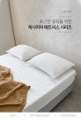 상품상세 문구는ART다. 카테고리1위 알파 공식쇼핑몰!