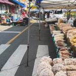 아웃도어 라이프 스타일 편집숍 홀라인