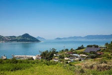 빛으로 여는 세상