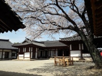 KEPCO 한국전력사보