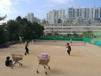 부산학교체육포털 - 전문스포츠클럽 - 교육청지정형 - 소프트테니스 부산학교체육포털