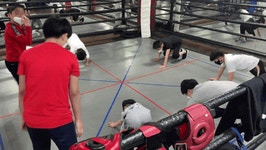 부산학교체육포털 - 전문스포츠클럽 - 교육청지정형 - 복싱 부산학교체육포털