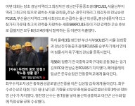 부산학교체육포털 - 전문스포츠클럽 - 법인설립운영형 - 서부SC 부산학교체육포털