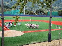 부산학교체육포털 - 전문스포츠클럽 - 법인설립운영형 - 부산대천중SBC 부산학교체육포털