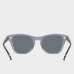 레이벤 선글라스 RB0707SF 6641 3R Transparent Grey (Dark Blue Polar Lens) 53사이즈 여자 남자 패션 뿔테 캣아이선글라스 RayBan... 