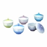 トックを ベトナムダウニー by マンゴーs shop｜ラクマ パッション 濃縮タイプ柔軟剤❤️おまとめ３本12ℓセットの通販... 