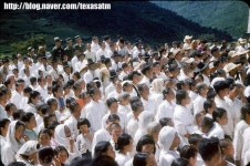 우리는 백의의 민족 | 보배드림 신유머/이슈/움짤