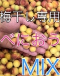 低価高品質 g3108 梅干し専用 完熟べにおう 10kg MIXサイズ 和歌山産 O3pDS-m16516661041 数量限定低価