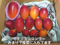 品質保証新品 宮崎完熟マンゴー　ミニマンゴー ZECJ9-m87649039841 定番送料無料