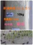 超歓迎新品 無農薬米新潟県産コシヒカリ10k Vd3IL-m91100205740 100%新品セール