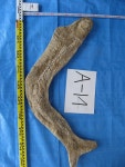 即納HOT 化石　A-14 NGjRf-m88448875109 品質保証安い