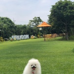 발란│BALAAN 발란|BALAAN