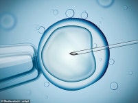 Dr Max Pemberton: The IVF industry trades on false dreams | Daily Mail Online Dr Max Pemberton: The IVF industry trades on false... 