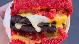 How TikTok turbocharged our trade: Unassuming NYC mom-and-pop diner saw business increase FIFTY-fold after influencer shared clip... 