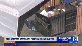 Hollywood agents son is charged with murders of his wife and in-laws | Daily Mail Online Hollywood agents son is charged with... 