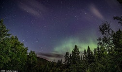 States with maximum visibility of the Northern lights for Thanksgiving | Daily Mail Online States with maximum visibility of the... 