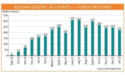 Roshan Digital Account inflows jump 38pc in January - Newspaper - DAWN.COM Roshan Digital Account inflows jump 38pc in January