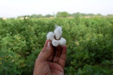 Answering the call of the wild: My adventure trip to Chutok in Balochistan - DAWN.COM Answering the call of the wild: My... 