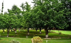With a historic fort and Unesco-protected mosque, Shigar is an ideal short escape in Gilgit-Baltistan - DAWN.COM With a historic... 