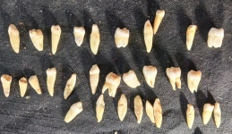 비드바이코리아 - 해외 전문 경매대행 선두주자 - BIDBUY 비드바이코리아 - 해외 경매대행의 선두주자!