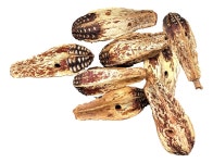Soft Mahogany Pods 24pc Bird Toy & Toy Parts - Etsy