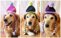 Dog Hat Ear Flap Dog Hat Dog Beanie Pom Pom Hat for Dogs - Etsy
