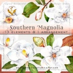 Watercolor flowers magnolia clipart clipart flowers | Etsy