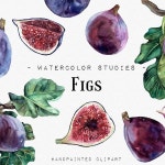 Watercolor Fruits - Etsy