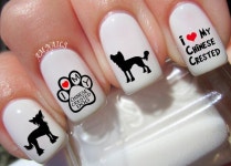 40 Chinese Crested Dog Nail Decals - A1206 - Etsy