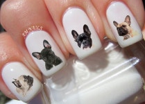 54 French Bulldog Nail Decals A1294 - Etsy 54 French Bulldog Nail Decals  A1294 - Etsy