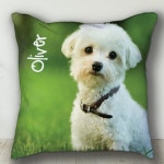 Etsy Custom PERSONALIZED Pet Pillow, Personalized Dog or Cat Photo Throw Pillow, Beautiful Memorial Keepsake Gift Idea for Pet Lovers
